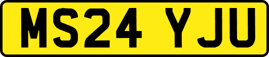 MS24YJU