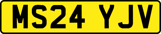 MS24YJV