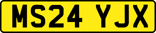 MS24YJX