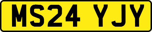 MS24YJY