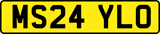 MS24YLO