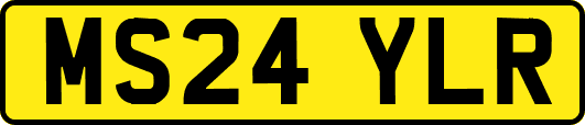 MS24YLR