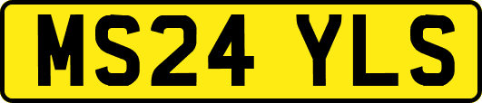 MS24YLS