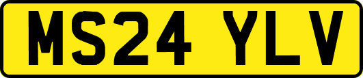 MS24YLV