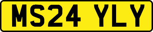 MS24YLY