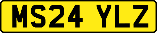 MS24YLZ