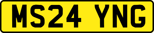 MS24YNG
