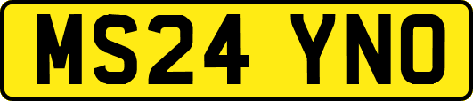 MS24YNO