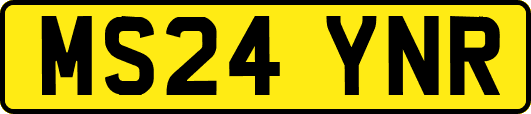 MS24YNR