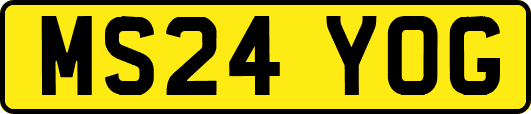 MS24YOG