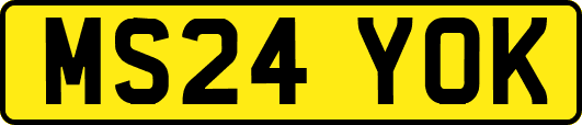 MS24YOK