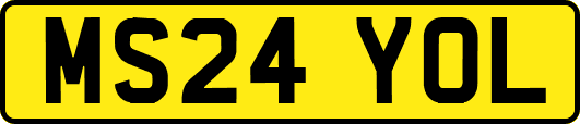 MS24YOL