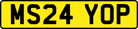 MS24YOP