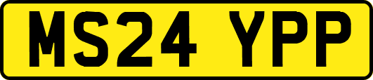 MS24YPP