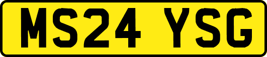 MS24YSG