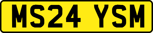 MS24YSM