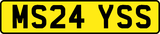 MS24YSS