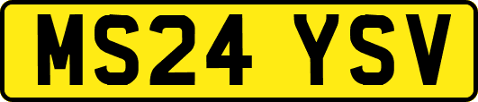 MS24YSV
