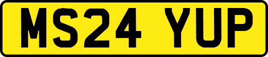 MS24YUP