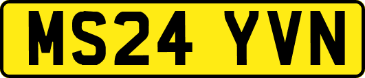 MS24YVN