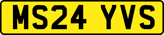 MS24YVS