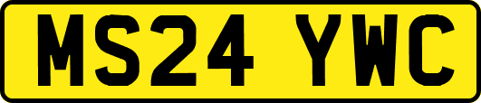 MS24YWC