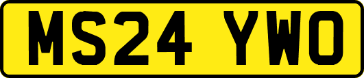 MS24YWO