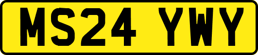 MS24YWY