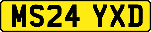 MS24YXD