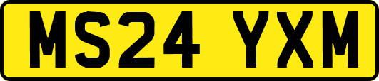MS24YXM