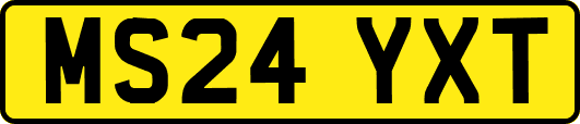 MS24YXT