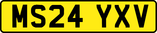 MS24YXV