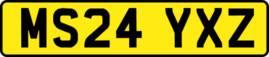 MS24YXZ