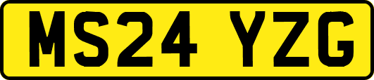 MS24YZG