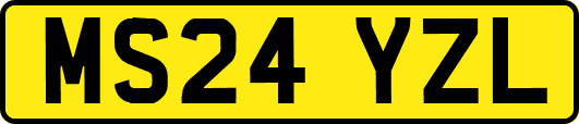 MS24YZL