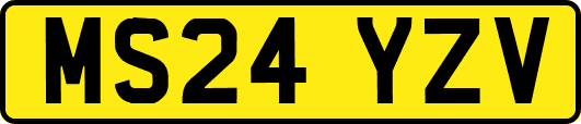 MS24YZV