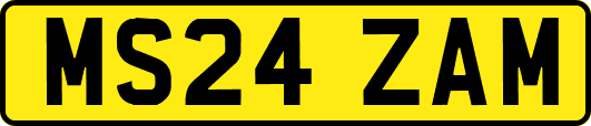 MS24ZAM