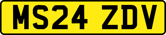 MS24ZDV