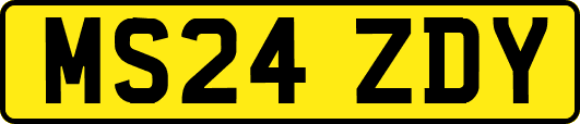 MS24ZDY