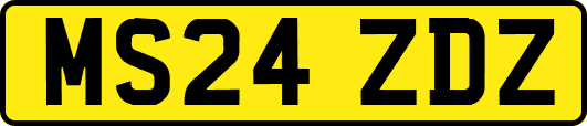 MS24ZDZ