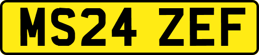 MS24ZEF