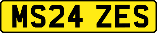 MS24ZES