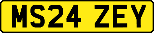 MS24ZEY