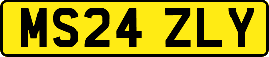 MS24ZLY