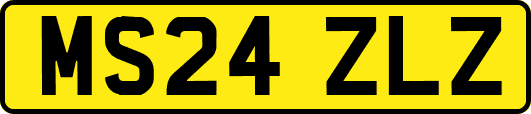 MS24ZLZ