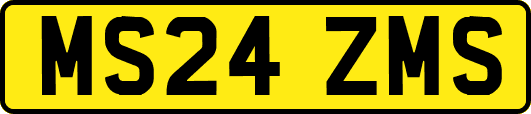 MS24ZMS
