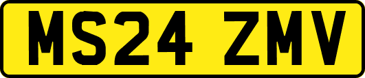 MS24ZMV