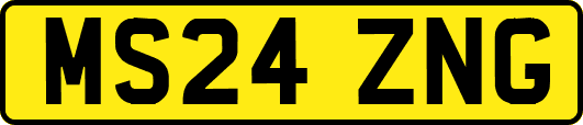 MS24ZNG