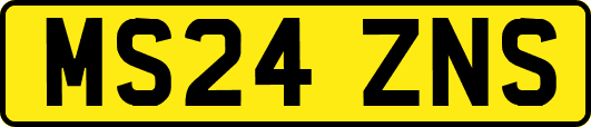 MS24ZNS