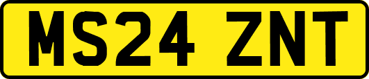 MS24ZNT